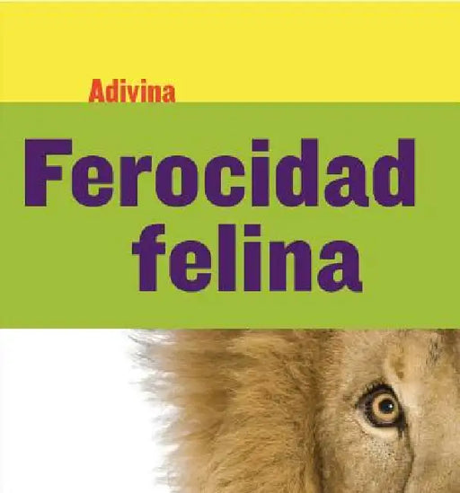 Ferocidad Felina (Fiercely Feline): León (Lion) by Kelly Calhoun
