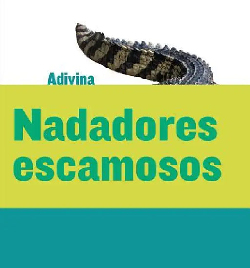 Nadadores Escamosos (Scaly Swimmers): Cocodrilo (Crocodile) by Kelly Calhoun