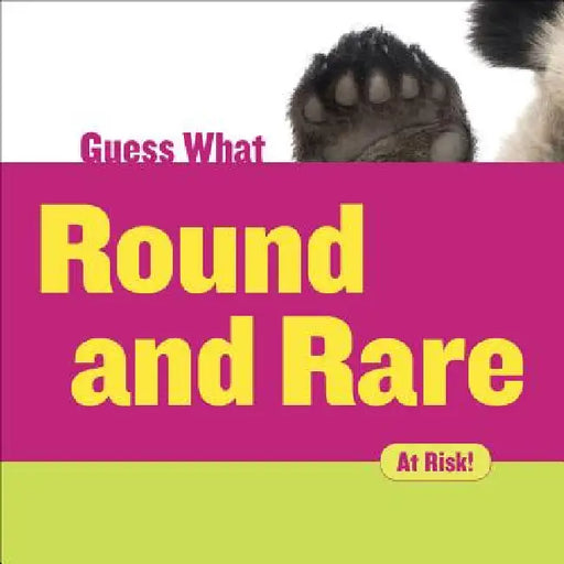 Round and Rare: Giant Panda by Felicia Macheske