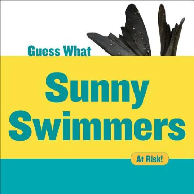 Sunny Swimmers: Monk Seal by Felicia Macheske