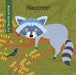 Raccoon by Virginia Loh-Hagan, Jeff Bane