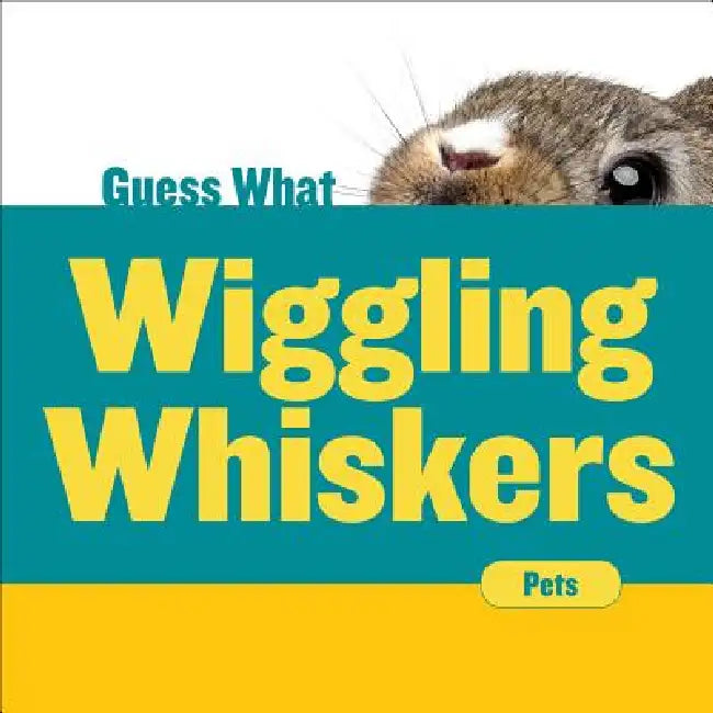Wiggling Whiskers: Rabbit by Felicia Macheske