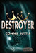 Destroyer by Connie Suttle