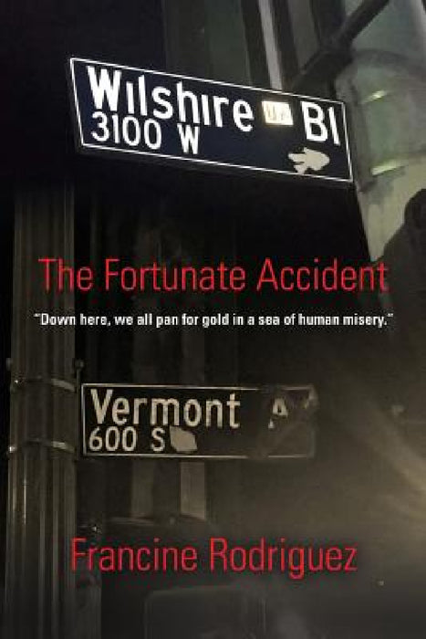 The Fortunate Accident by Francine Rodriguez