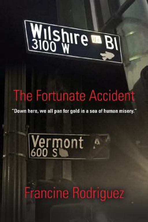 The Fortunate Accident by Francine Rodriguez