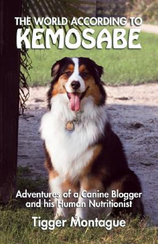 The World According to Kemosabe: Adventures of a Canine Blogger and His Human Nutritionist by Tigger Montague