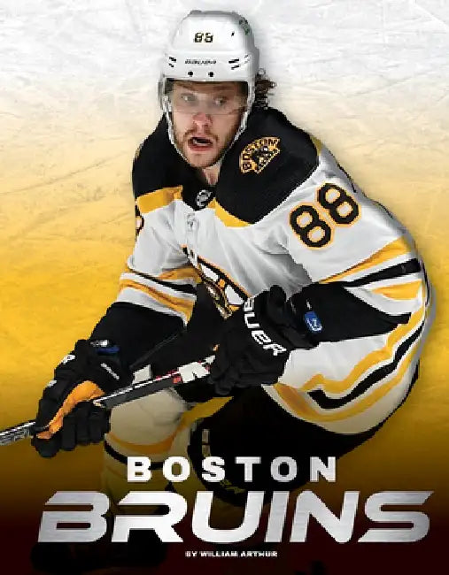 Boston Bruins by William Arthur