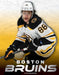Boston Bruins by William Arthur