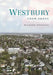 Westbury from Above by Richard Panchyk