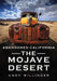 Abandoned Southern California: Mojave Desert by Andy Willinger