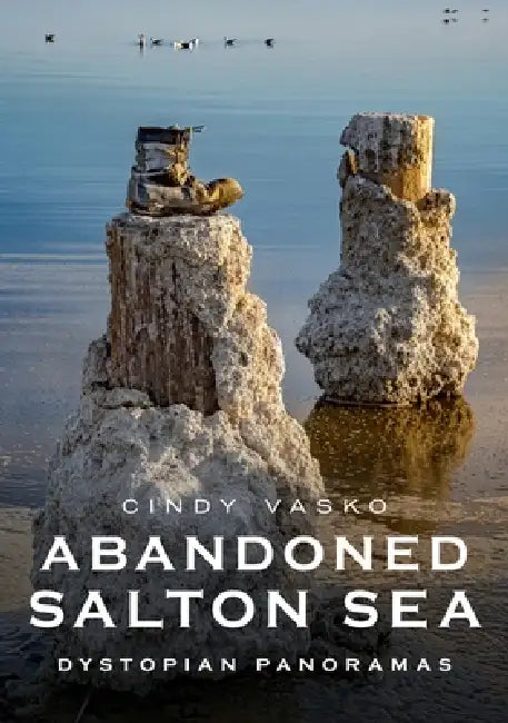 Abandoned Salton Sea: Dystopian Panoramas by Cindy Vasko