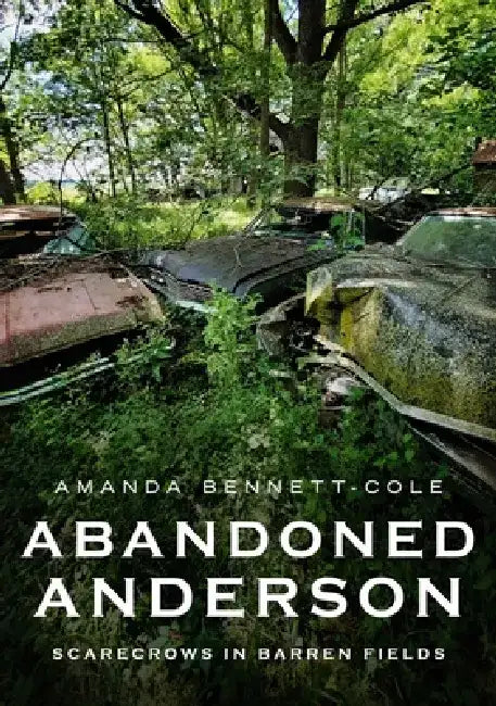Abandoned Anderson, Indiana: Scarecrows in Barren Fields by Amanda Bennett-Cole