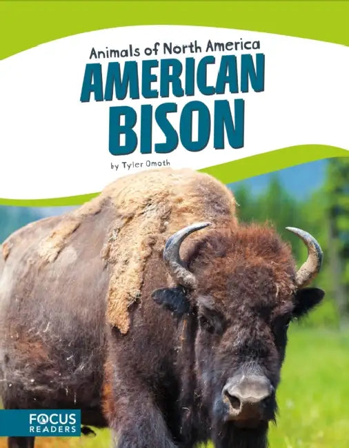 American Bison by Tyler Omoth