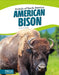 American Bison by Tyler Omoth
