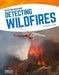 Detecting Wildfires by Samantha S. Bell