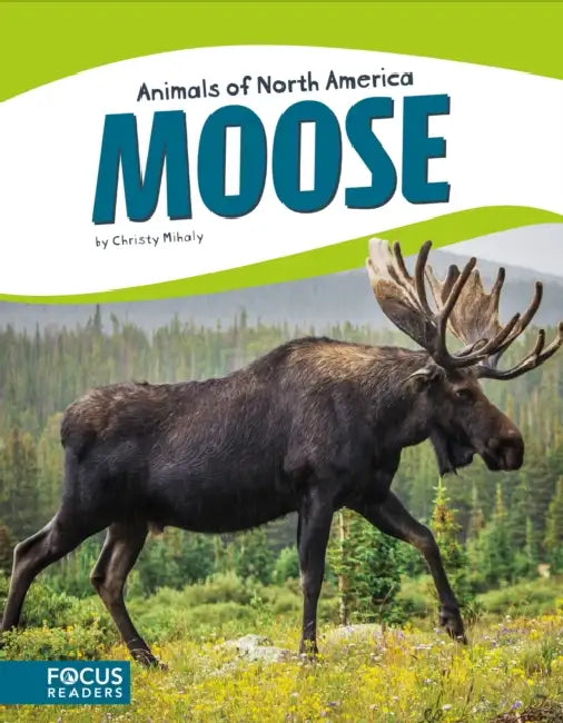 Moose by Christy Mihaly