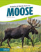 Moose by Christy Mihaly