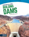 Building Dams by Nikole Brooks Bethea
