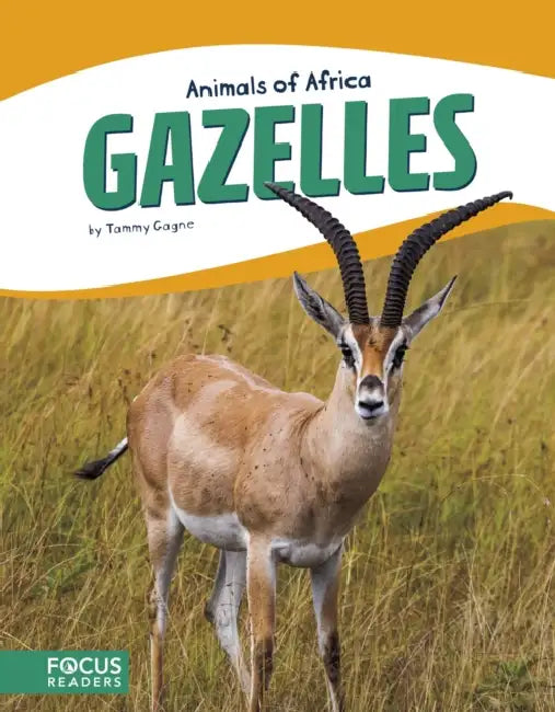 Gazelles by Tammy Gagne