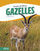 Gazelles by Tammy Gagne