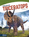 Triceratops by Samantha S. Bell
