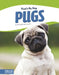 Pugs by Lanier, Wendy Hinote