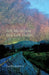 Tell Me When You Get There by Lia Rivamonte
