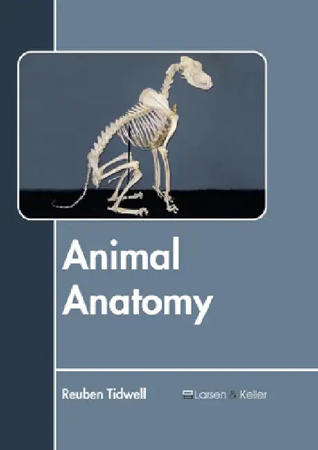 Animal Anatomy by Reuben Tidwell