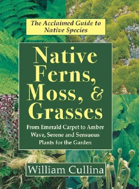 Native Ferns, Moss, and Grasses by William Cullina