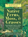 Native Ferns, Moss, and Grasses by William Cullina