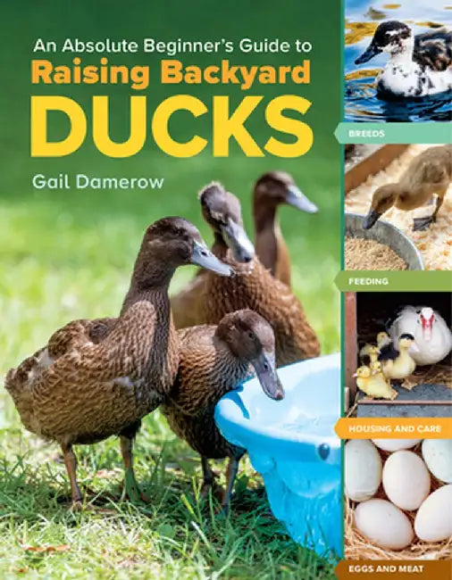 An Absolute Beginner's Guide to Raising Backyard Ducks: Breeds, Housing & Feeding, Health Care, Eggs & Meat by Gail Damerow