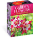 Garden Flowers, 100 Postcards: A Colorful Bouquet from Award-Winning Photography Rob Cardillo by Rob Cardillo