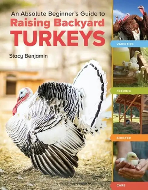 An Absolute Beginner's Guide to Raising Backyard Turkeys: Varieties, Feeding, Shelter, Care by Stacy Benjamin