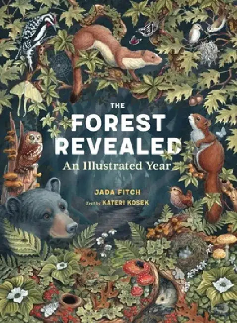 The Forest Revealed: An Illustrated Year by Jada Fitch