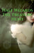 Half Wizards by Vinaya Anna