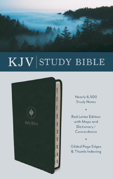 The KJV Study Bible (Indexed) [Evergreen Fog] by Barbour Bibles