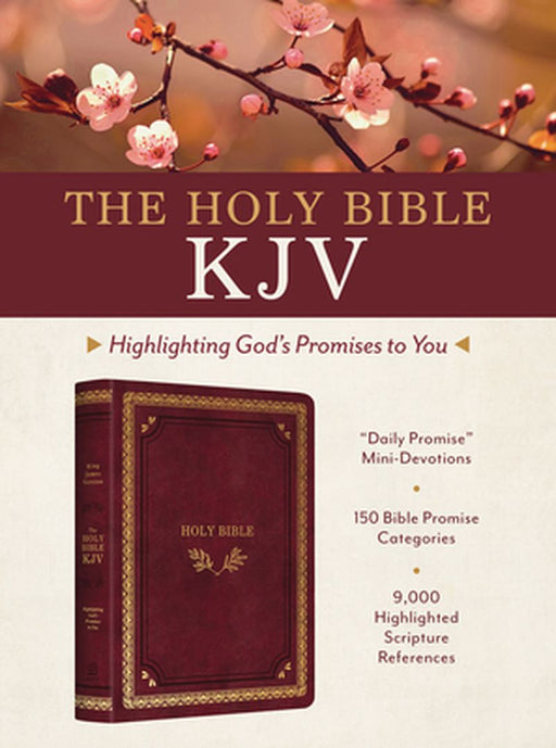 The Holy Bible Kjv: Highlighting God's Promises to You (Crimson & Gold) by Christopher D. Hudson