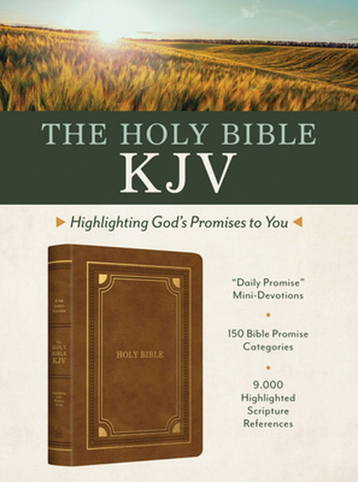 Holy Bible Kjv: Highlighting God's Promises to You (Gold & Camel) by Christopher D. Hudson