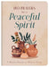 180 Prayers for a Peaceful Spirit: 3-Minute Prayers to Relieve Stress by Janice Thompson