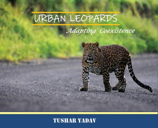 Urban Leopards, Adapting coexistence by Tushar Yadav