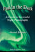 Fun in the Dark: A Guide to Successful Night Photography: A Guide to Successful Night Photography by Beth Ruggiero York