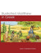 Illustrated Matthew in Greek by Marc Grønbech-Dam