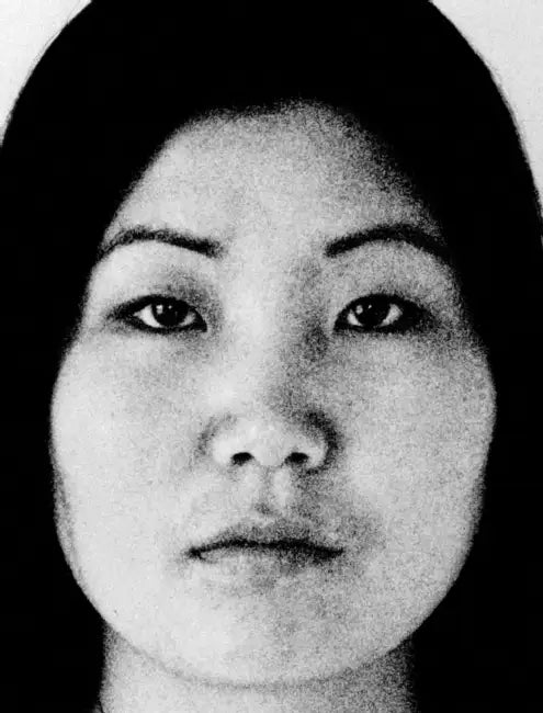 Theresa Hak Kyung Cha: Multiple Offerings by Theresa Hak Kyung Cha, Victoria Sung, Julie Rodrigues Widholm