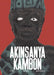 Akinsanya Kambon: The Hero Avenges by Akinsanya Kambon, Pablo José Ramírez, Zoë Ryan