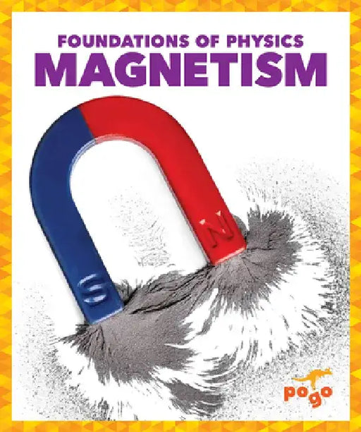Magnetism by Anita Nahta Amin