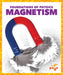 Magnetism by Anita Nahta Amin