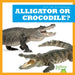 Alligator or Crocodile? by Adeline J. Zimmerman