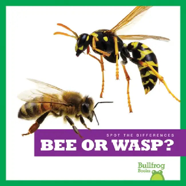 Bee or Wasp? by Adeline J. Zimmerman