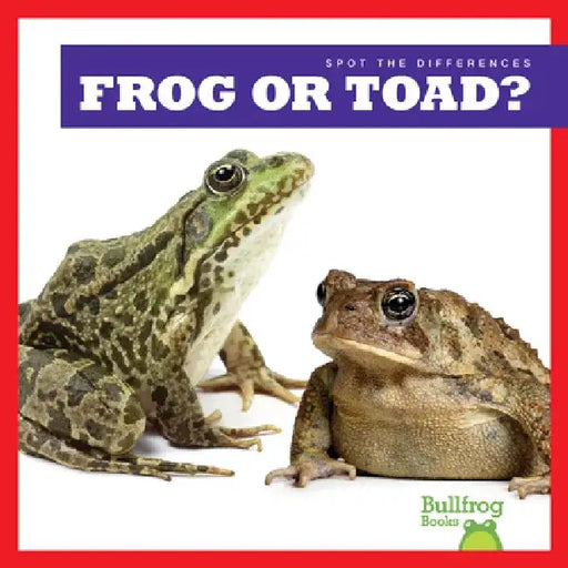 Frog or Toad? by Jamie Rice