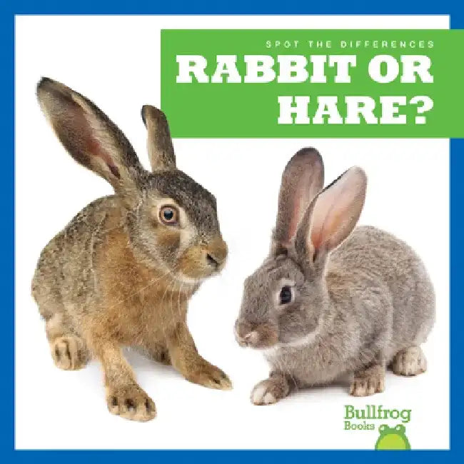 Rabbit or Hare? by Jamie Rice